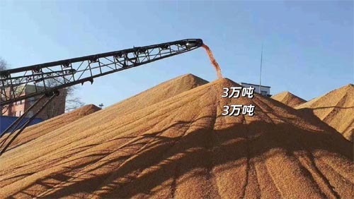 國常會(huì)重磅！實(shí)施新一輪千億斤糧食產(chǎn)能提升行動(dòng)